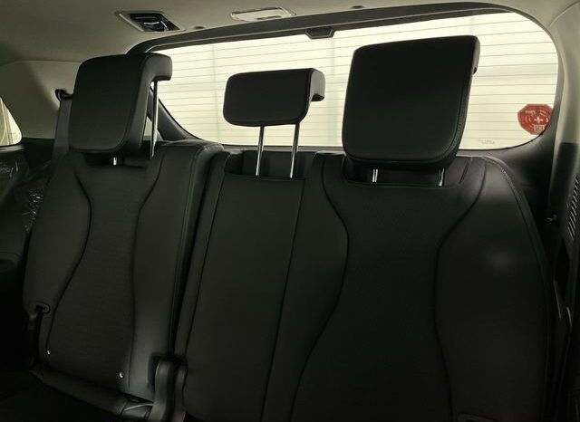 
 Kia Carnival Hybrid full									