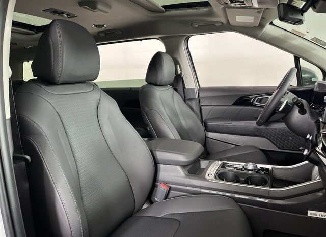 
 Kia Carnival Hybrid full									