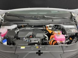 
 Kia Carnival Hybrid full									