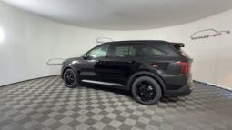 
										Kia Sorento Hybrid full									
