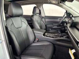 
										Kia Sorento full									