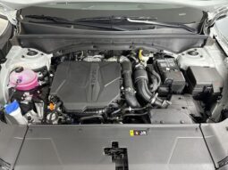 
										Kia Sorento full									