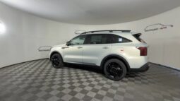 
										Kia Sorento full									
