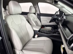 
										Kia Sorento full									