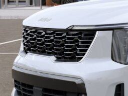 
 Kia Sorento Hybrid full									