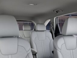 
 Kia Sorento Hybrid full									
