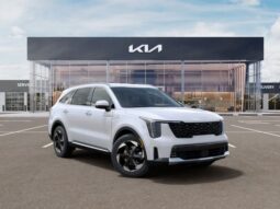 
 Kia Sorento Hybrid full									