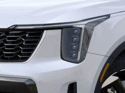 
 Kia Sorento Hybrid full									