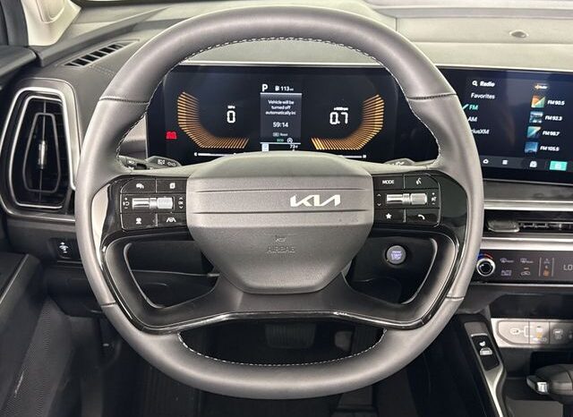 
 Kia Sorento full									