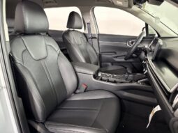 
										Kia Sorento full									