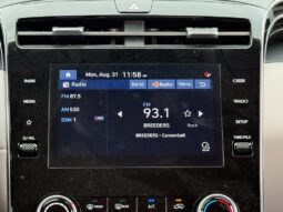 
										Hyundai Tucson full									
