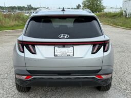 
										Hyundai Tucson full									