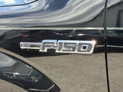 
										Ford F-150 full									