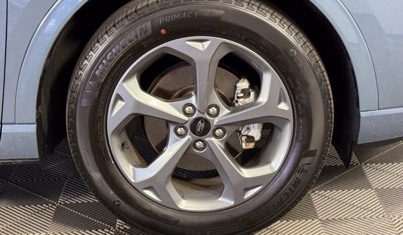 
								Ford Escape full									