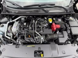 
										Nissan Sentra full									