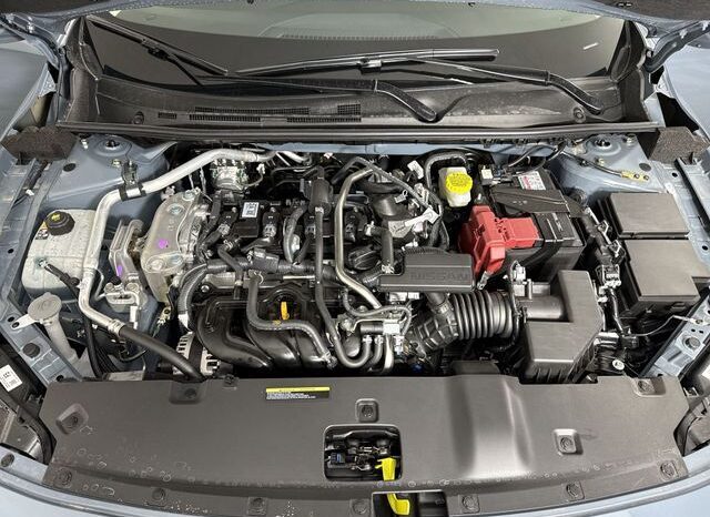 
								Nissan Sentra full									