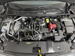 
										Nissan Sentra full									