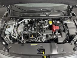 
										Nissan Sentra full									