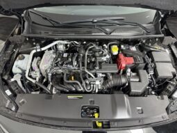 
										Nissan Sentra full									