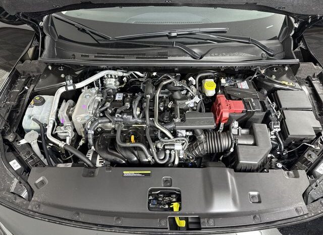 
								Nissan Sentra full									