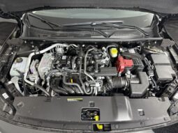 
										Nissan Sentra full									