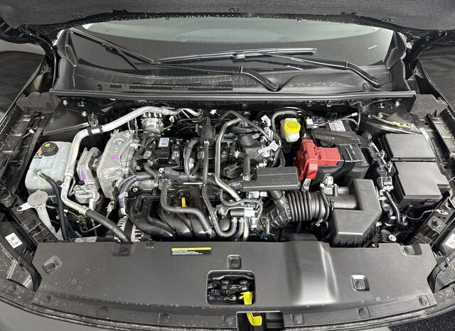 
								Nissan Sentra full									