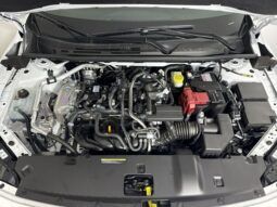 
										Nissan Sentra full									