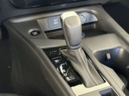 
										Nissan Sentra full									