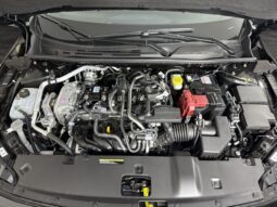 
										Nissan Sentra full									