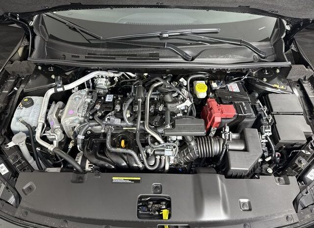 
								Nissan Sentra full									
