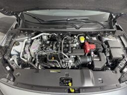 
										Nissan Sentra full									
