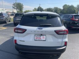 
 Ford Escape full									