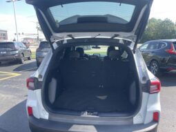
 Ford Escape full									