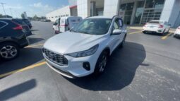 
 Ford Escape full									