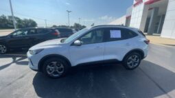 
 Ford Escape full									