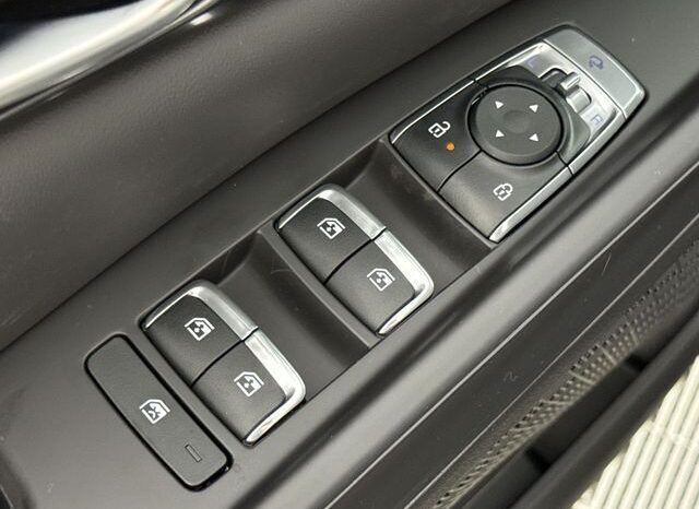 
								Kia Carnival full									