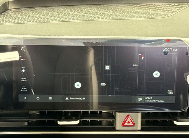 
								Kia Carnival full									
