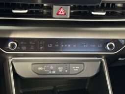 
										Kia Carnival full									