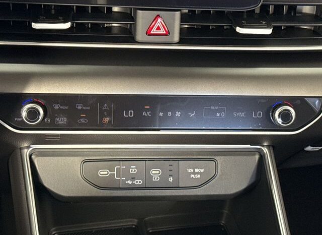 
								Kia Carnival full									