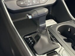 
										Kia Carnival full									