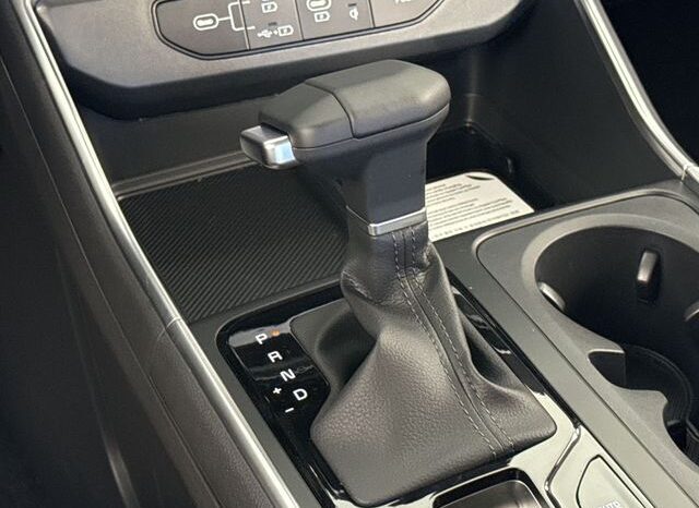 
								Kia Carnival full									