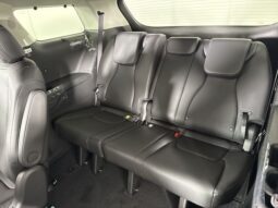 
										Kia Carnival full									