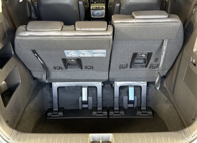
								Kia Carnival full									