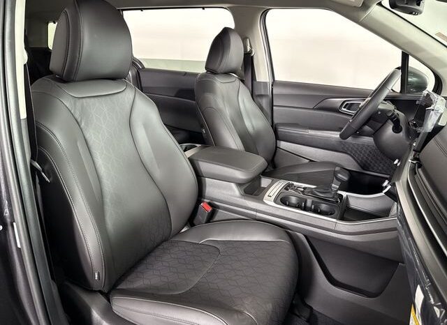 
								Kia Carnival full									