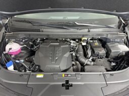 
										Kia Carnival full									