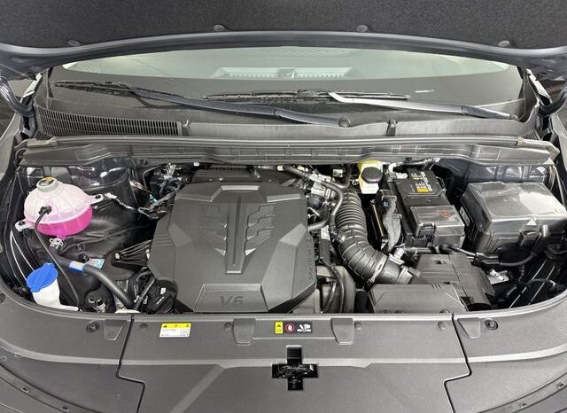 
								Kia Carnival full									