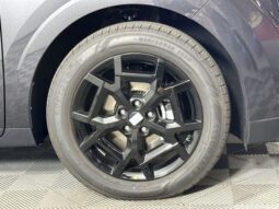 
										Kia Carnival full									