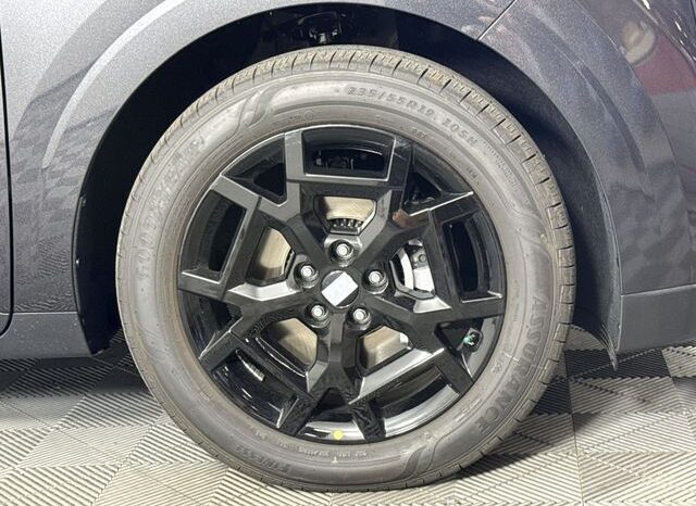 
								Kia Carnival full									