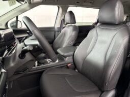 
										Kia Carnival full									