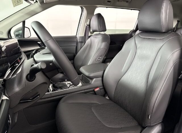 
								Kia Carnival full									